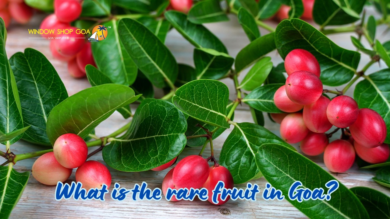 What is the rare fruit in Goa?